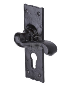 Shropshire Door Handle