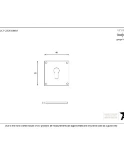 Pewter Avon Escutcheon