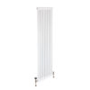 Florence 2 Column Steel Radiator