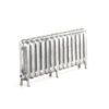 Princess Cast Iron Radiator