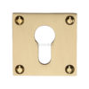 Euro Profile Cylinder Keyhole Escutcheon