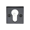 Square Euro Profile Black Iron Escutcheon