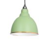 Brindley Pendant Light In Sage Green