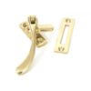Polished Brass Peardrop Fastener
