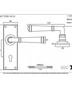 Pewter Regency Lever Lock Set